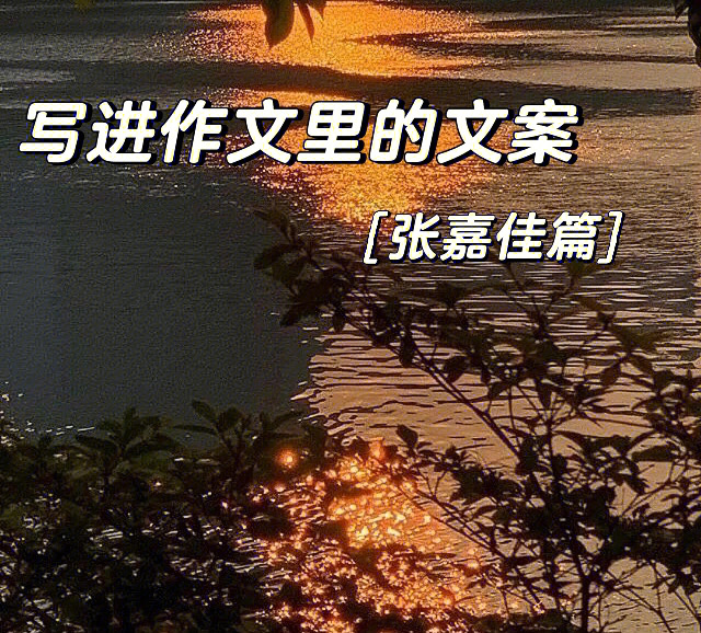 写进作文里的文案张嘉佳