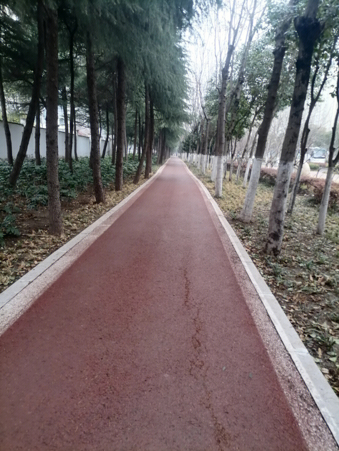 晨跑