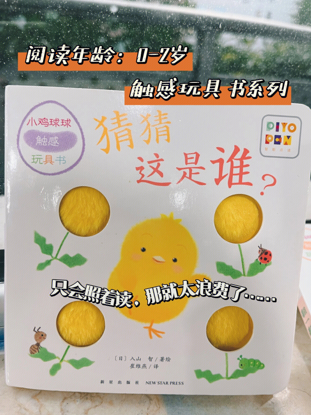 绘本精读003小鸡球球猜猜这是谁