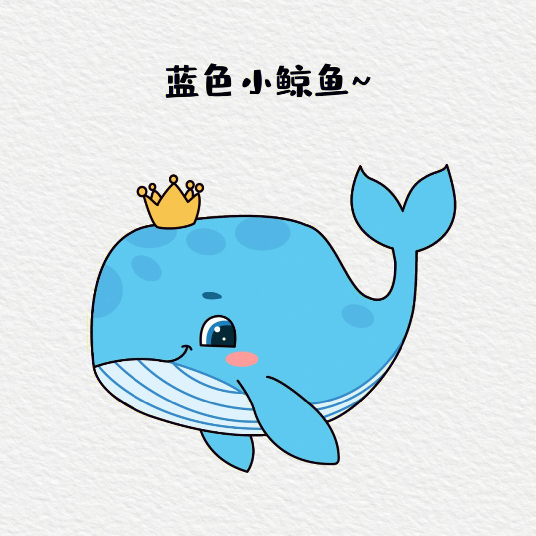 鲸鱼简笔画简单卡通图片