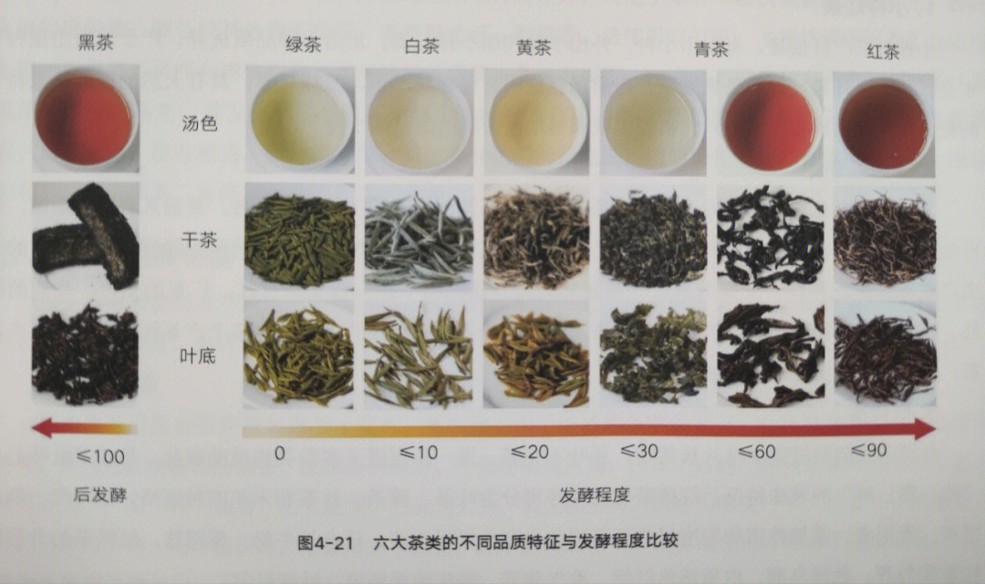 茶叶分类及发酵的区别