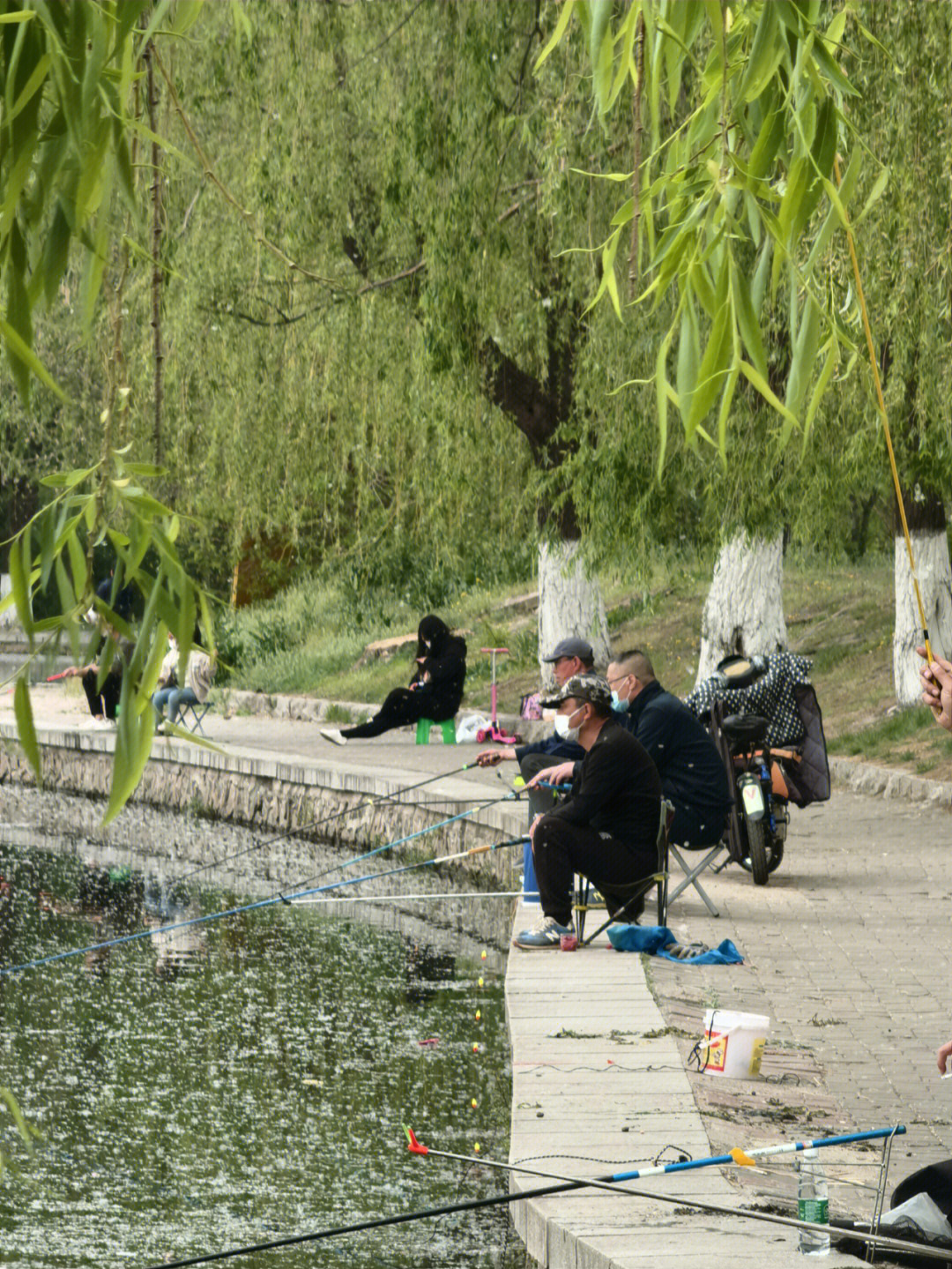 沈阳万柳塘公园大姐图片