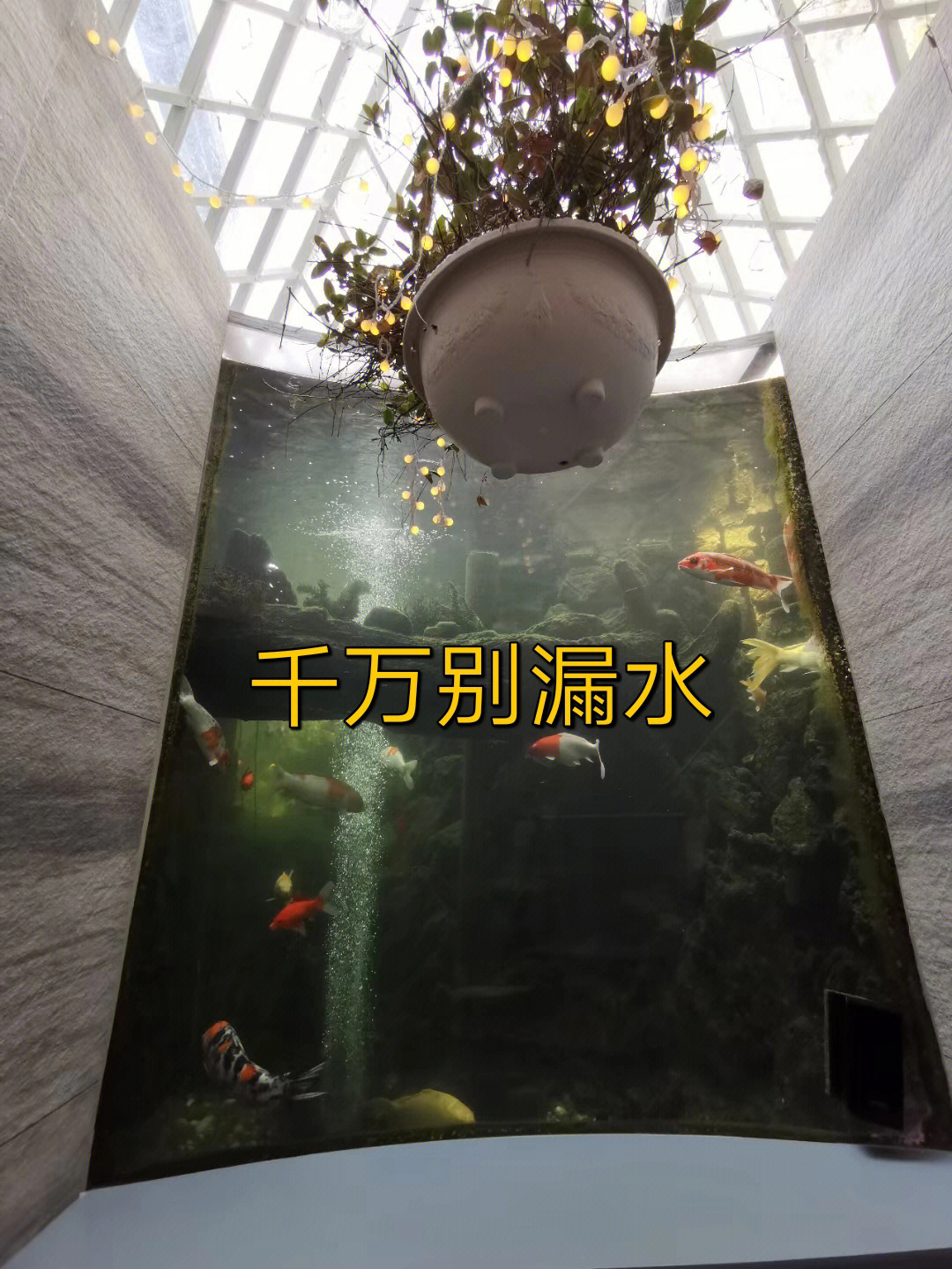 玻璃地板下养鱼效果图图片