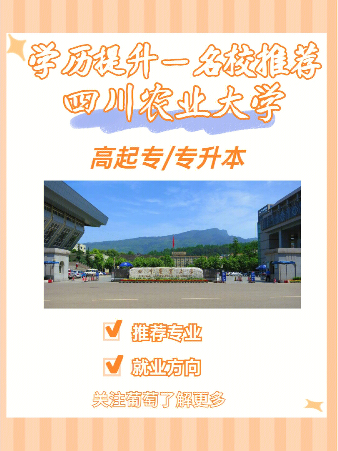 四川农业大学论文封面图片