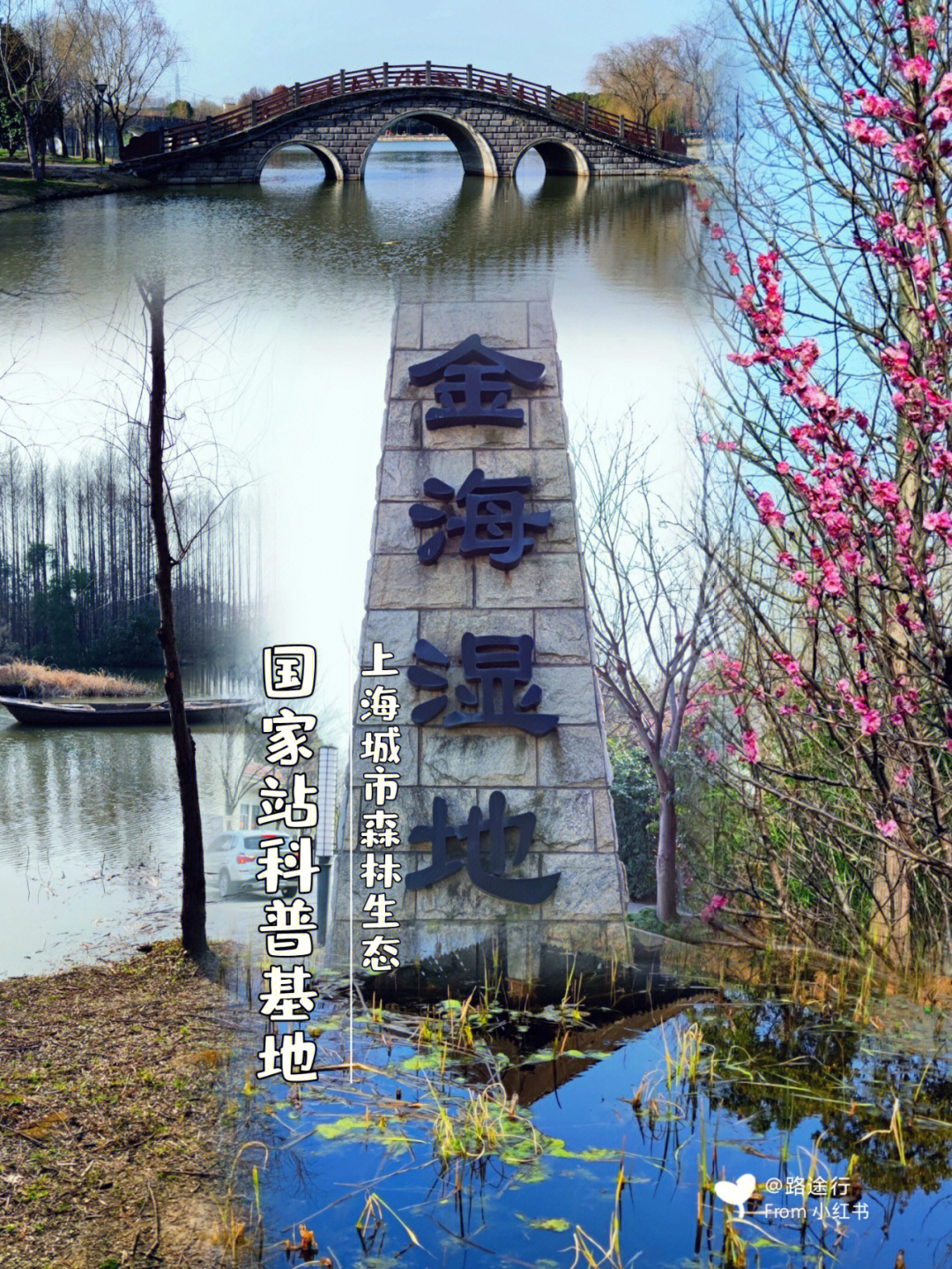 上海金海湿地公园电话图片