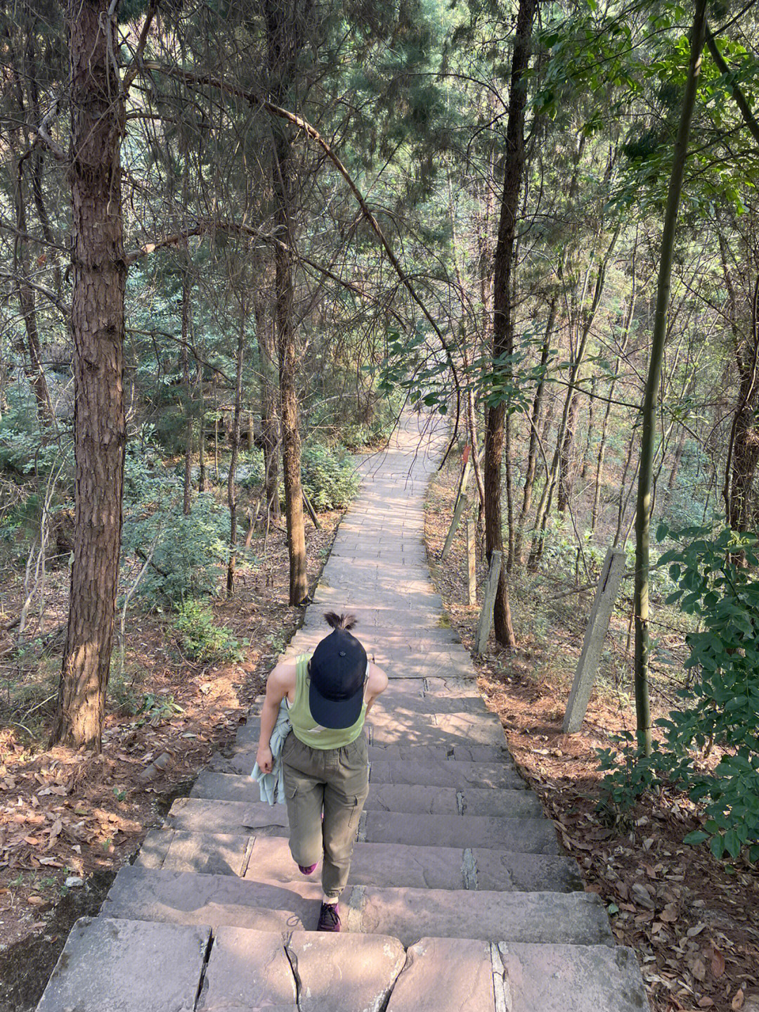 龙泉紫霞山