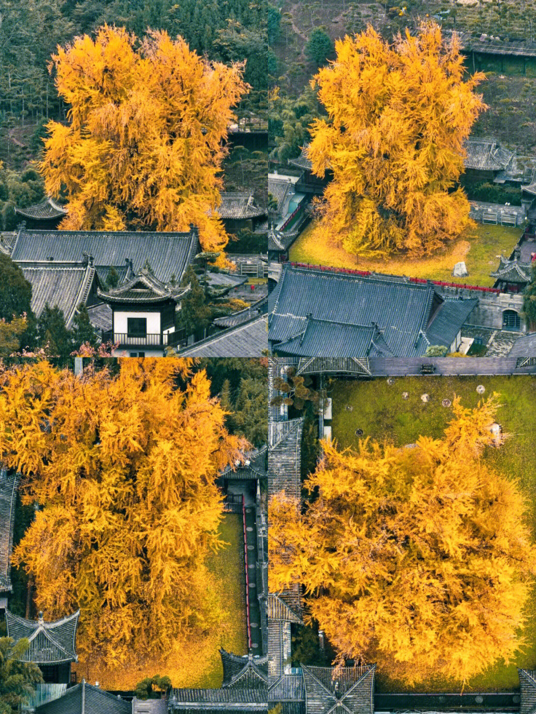 九华山观音禅寺图片