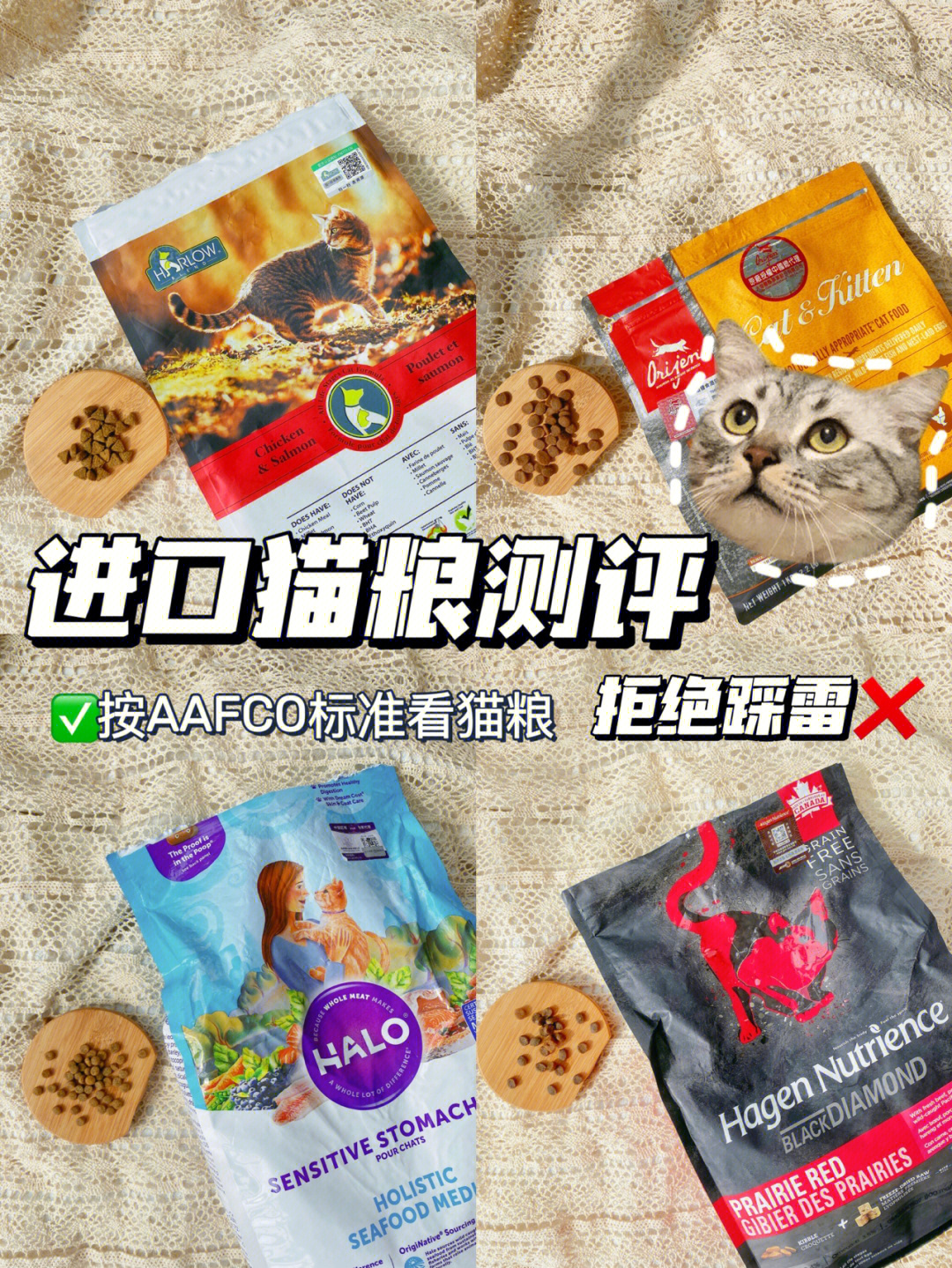 按标准看猫粮丨进口猫粮测评