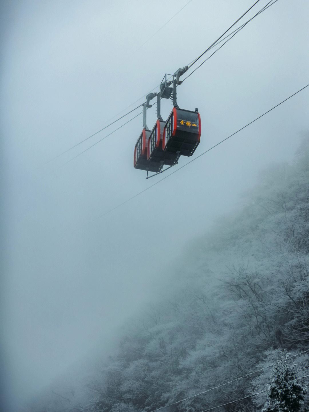 重庆金佛山触碰南国雪原的柔软与梦幻