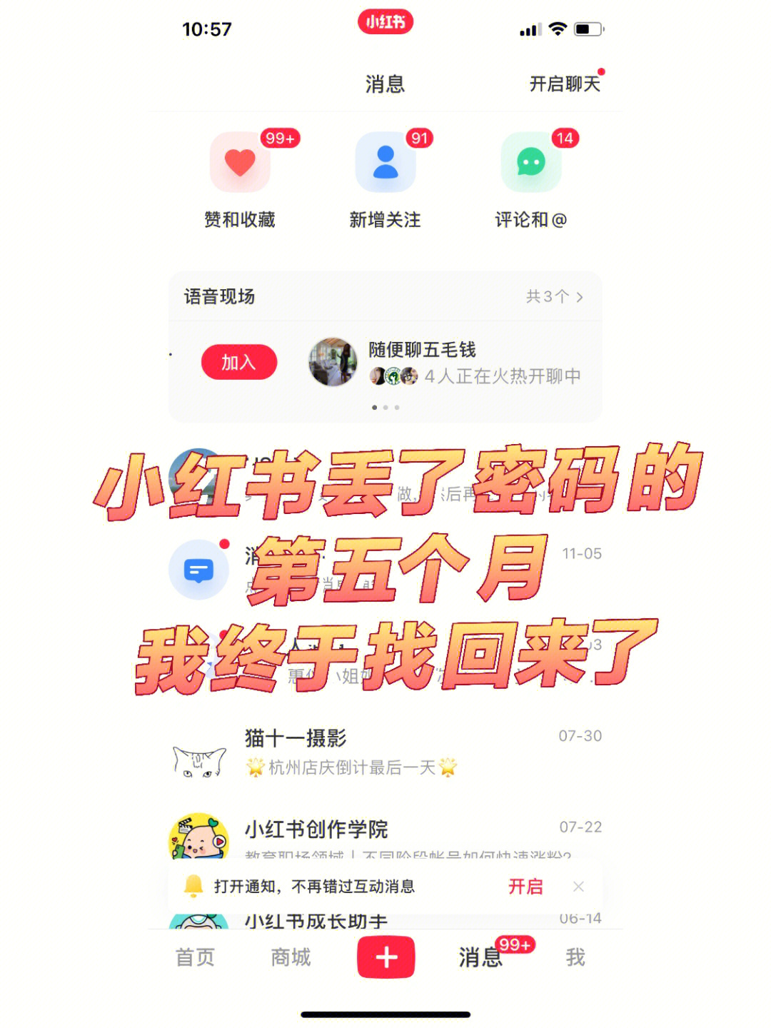 小红书自挂东南枝图片