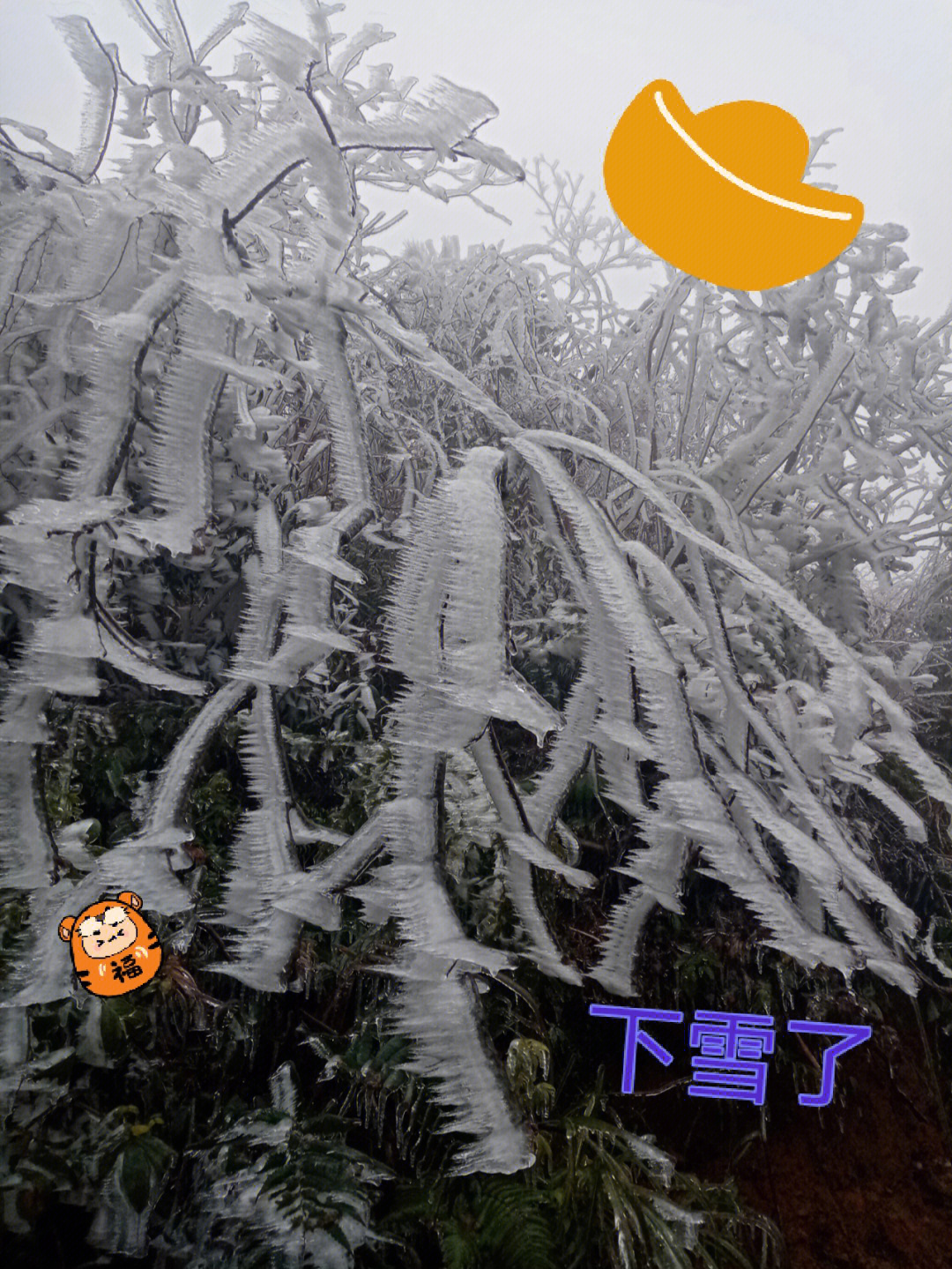 下雪了好冷啊图片图片