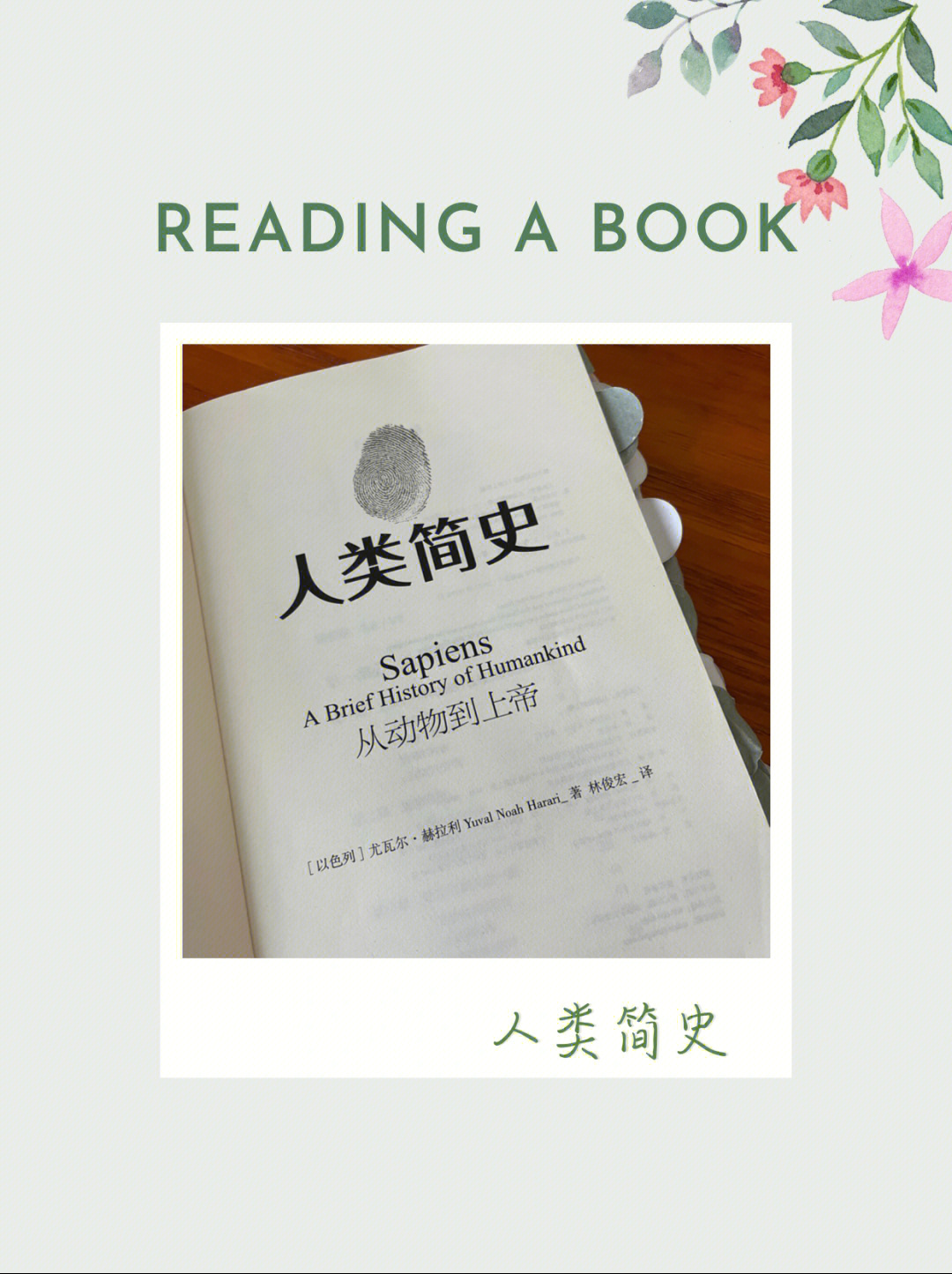 readingabook人类简史尤瓦尔赫拉利