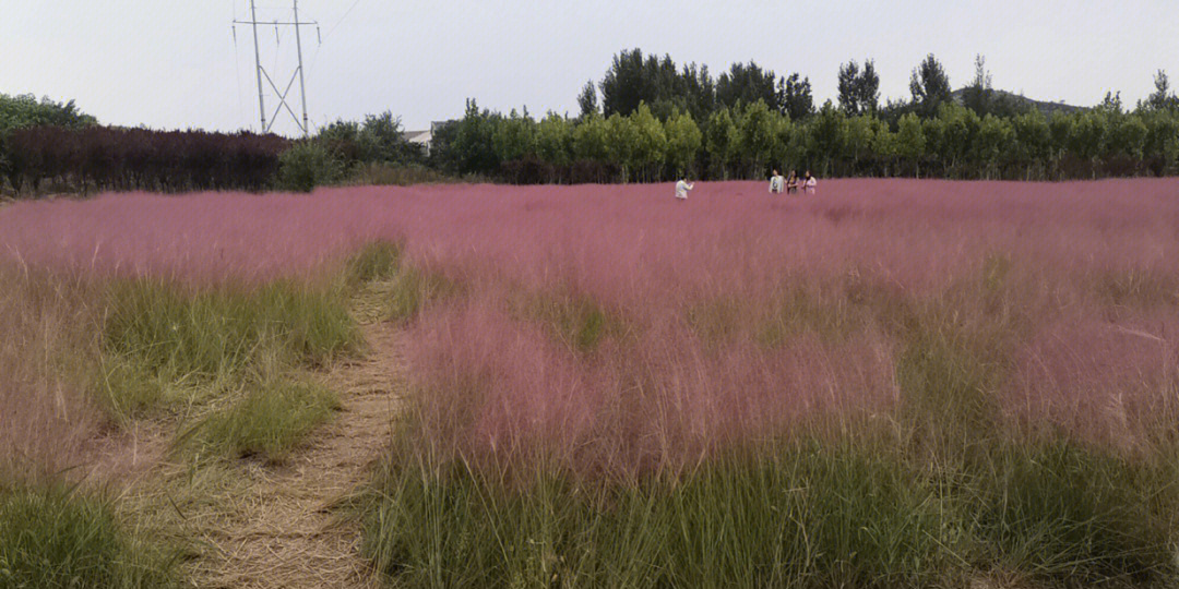 烈山花山公园图片