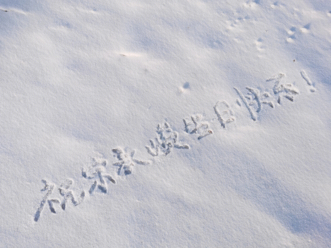 雪上写字表白图片图片