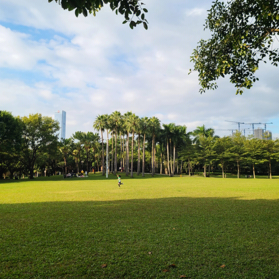 解锁福田中心公园大草坪