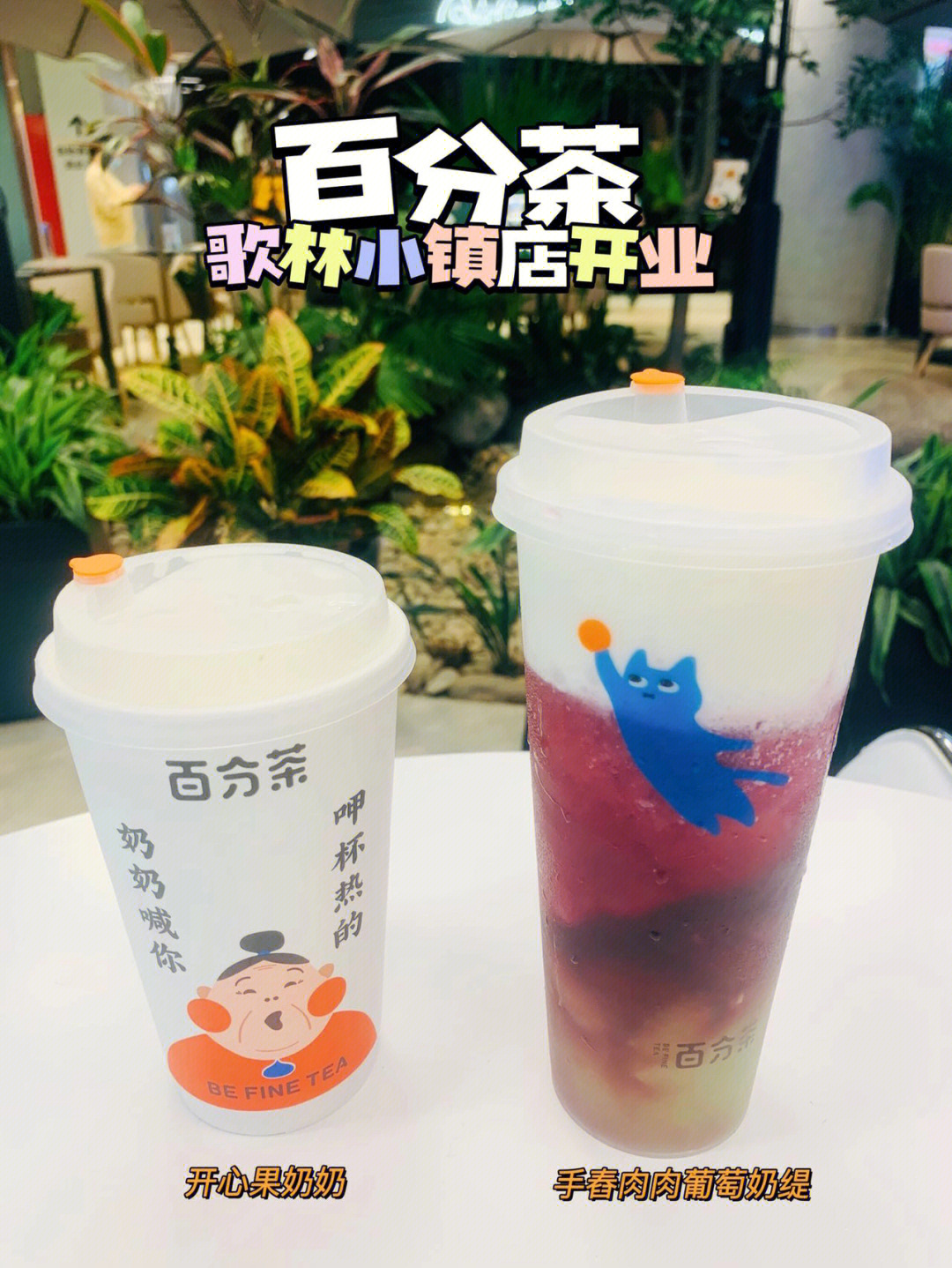 百分茶歌林小镇店开业啰买一送一