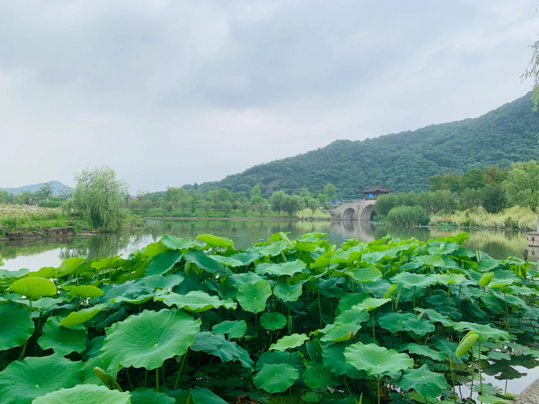 湘湖八景图片