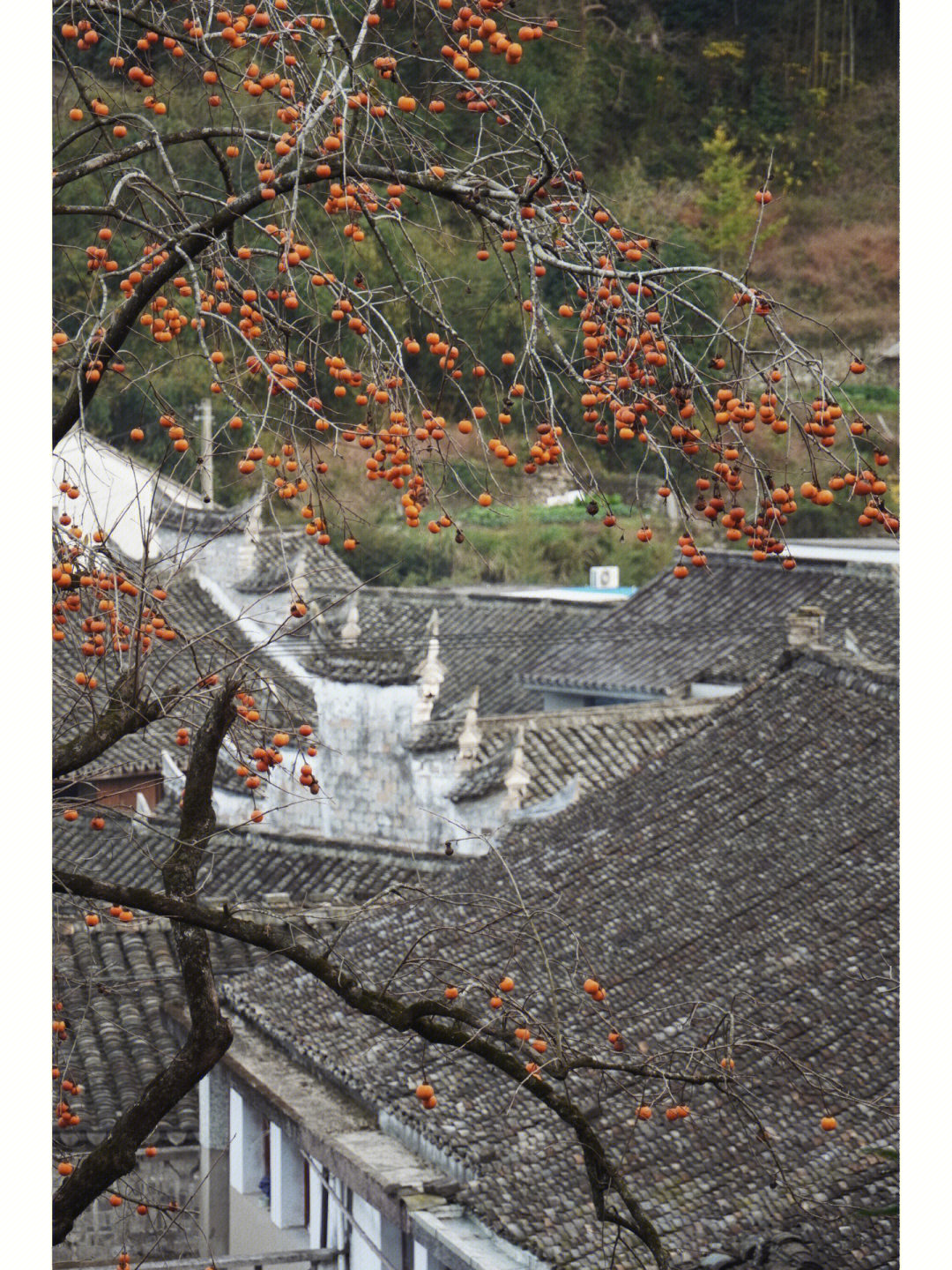 夏溪潭村图片