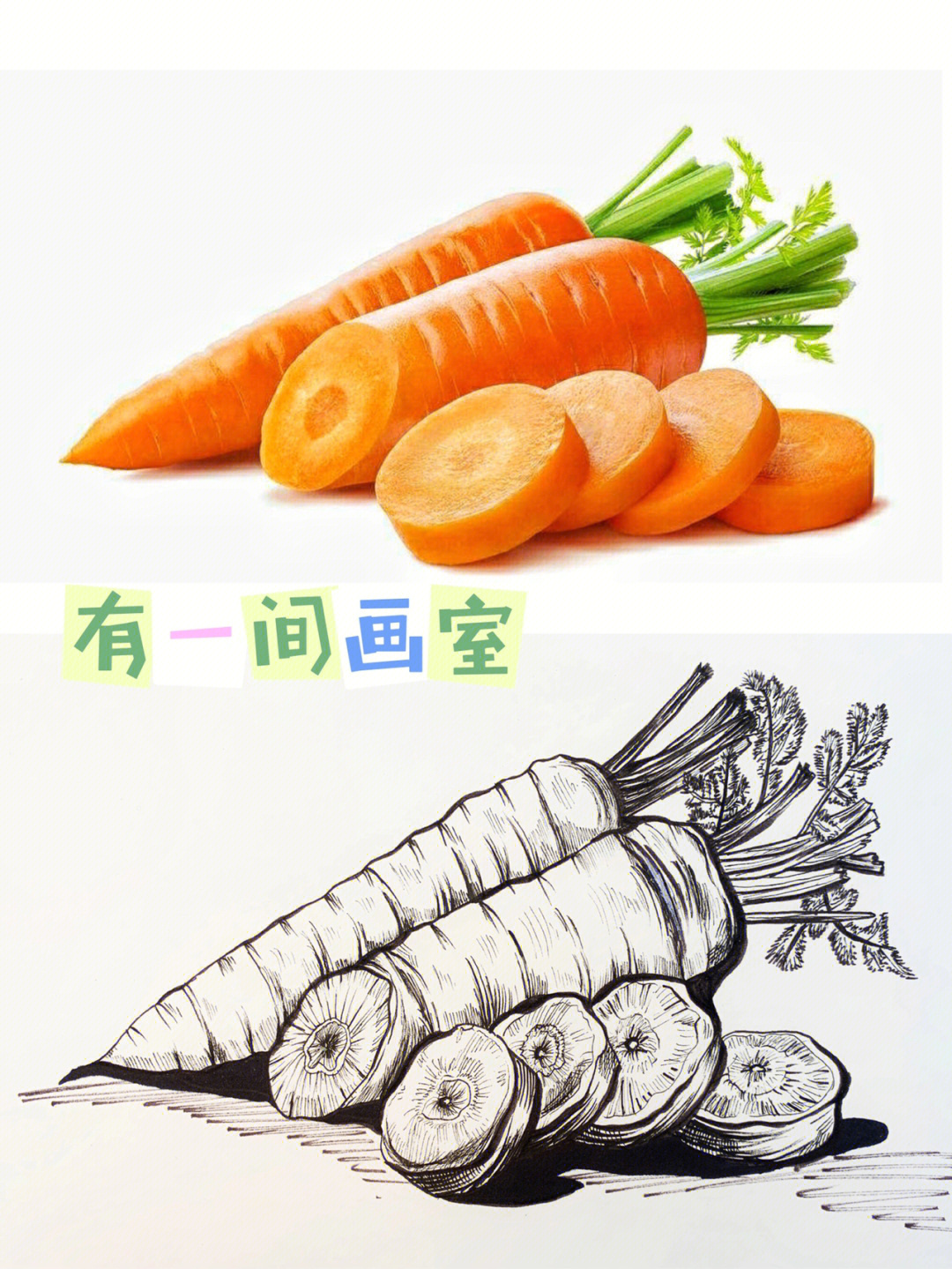 少儿美术线描胡萝卜