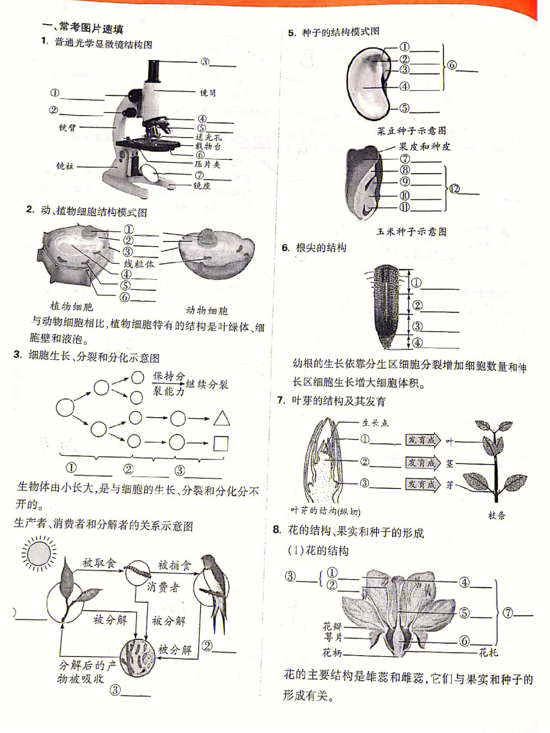 生物中考必考图题图片