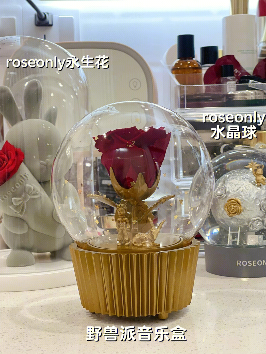 但是永生花装饰我更喜欢roseonly的兔子和猫咪,你们觉得呢