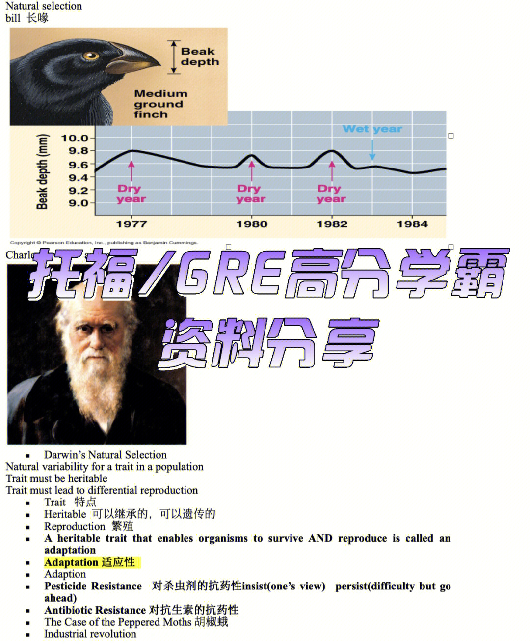 托福gre学霸资料用对资料很重要