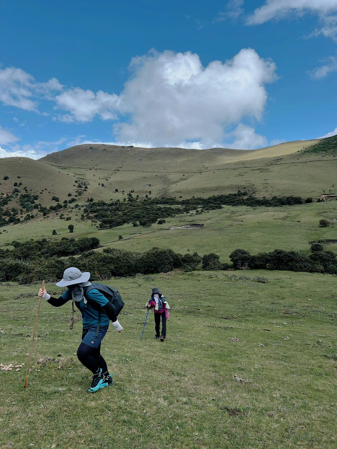 越岭又翻山藏机图图片