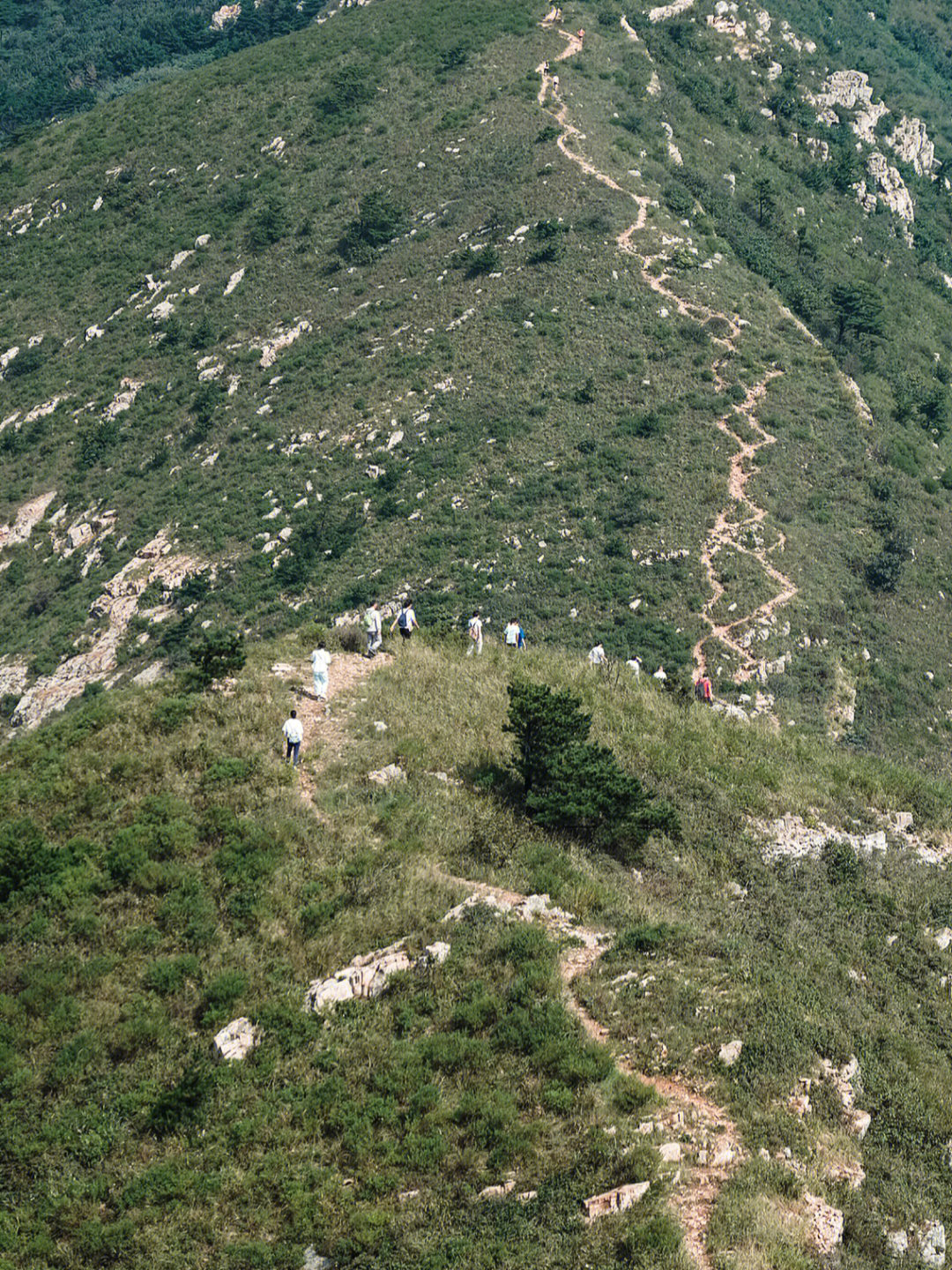 大连大黑山风景区路线图片