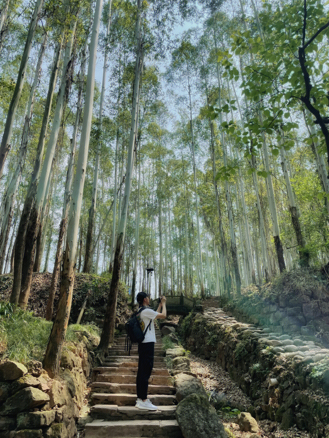 龙泉山仰天窝步道