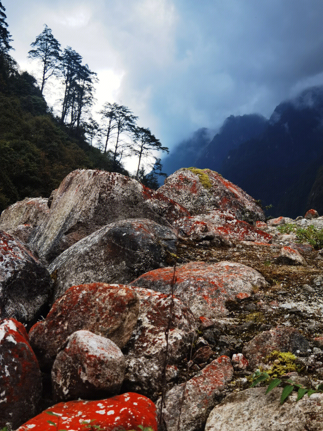 燕子沟景区电话图片