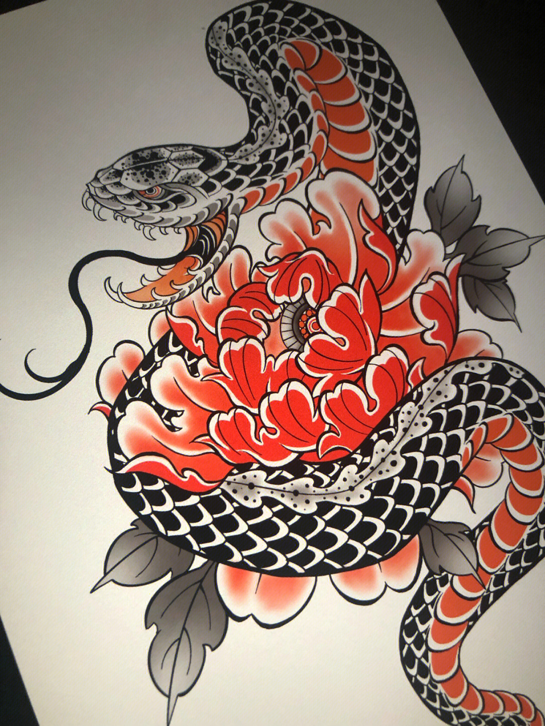 蛇盘牡丹纹身手稿图片