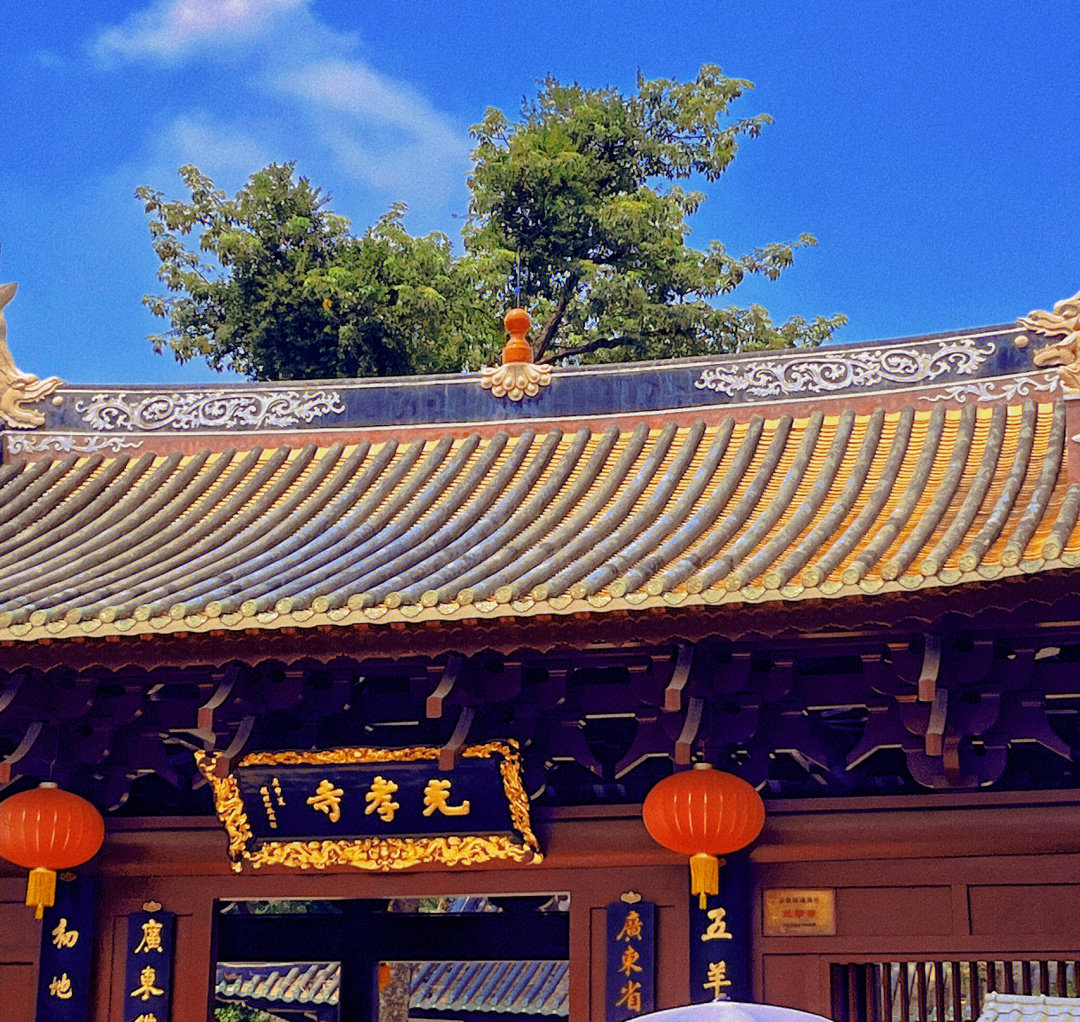 江苏泰州光孝律寺方丈图片