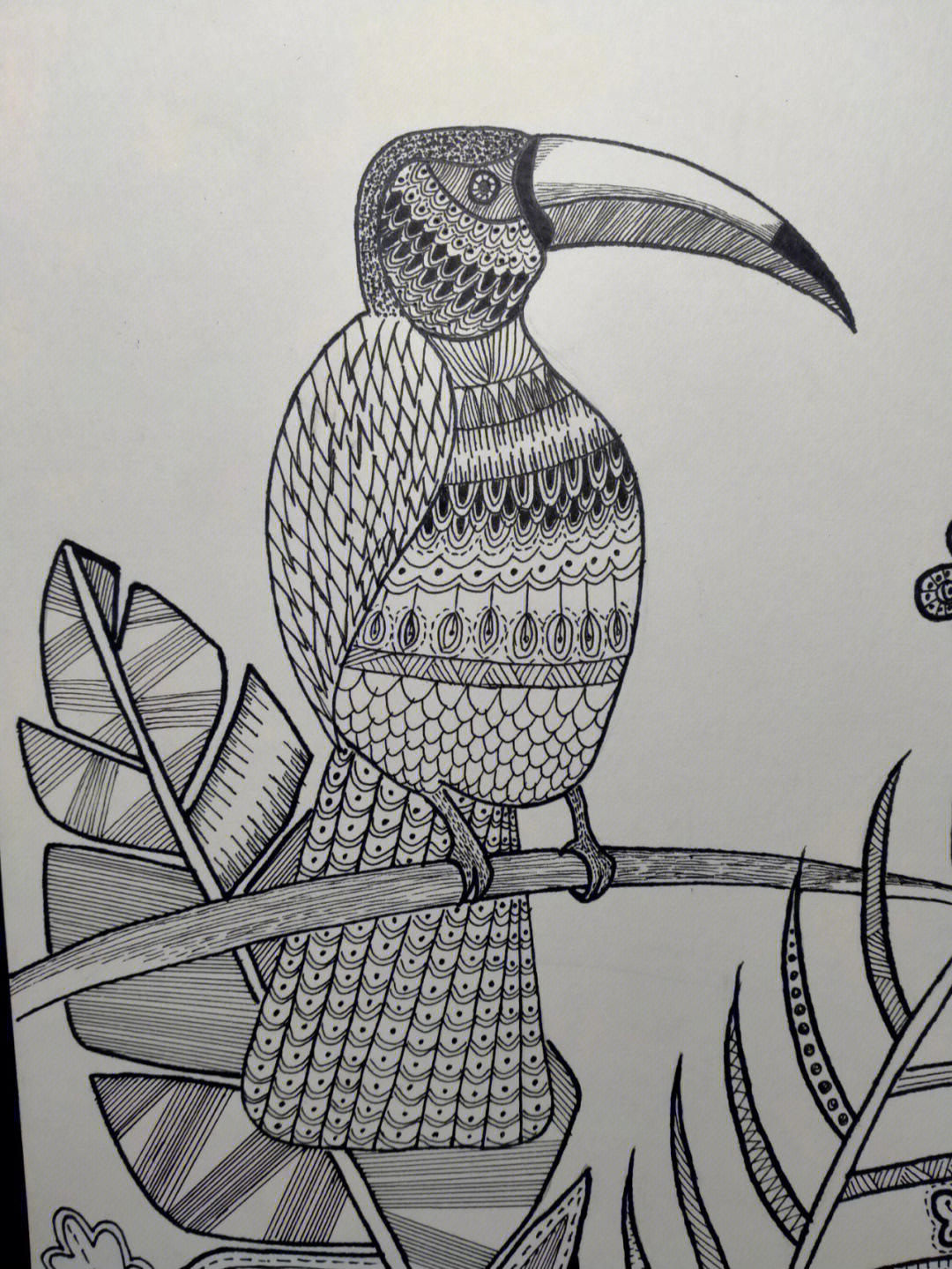线描大嘴鸟美术教案图片