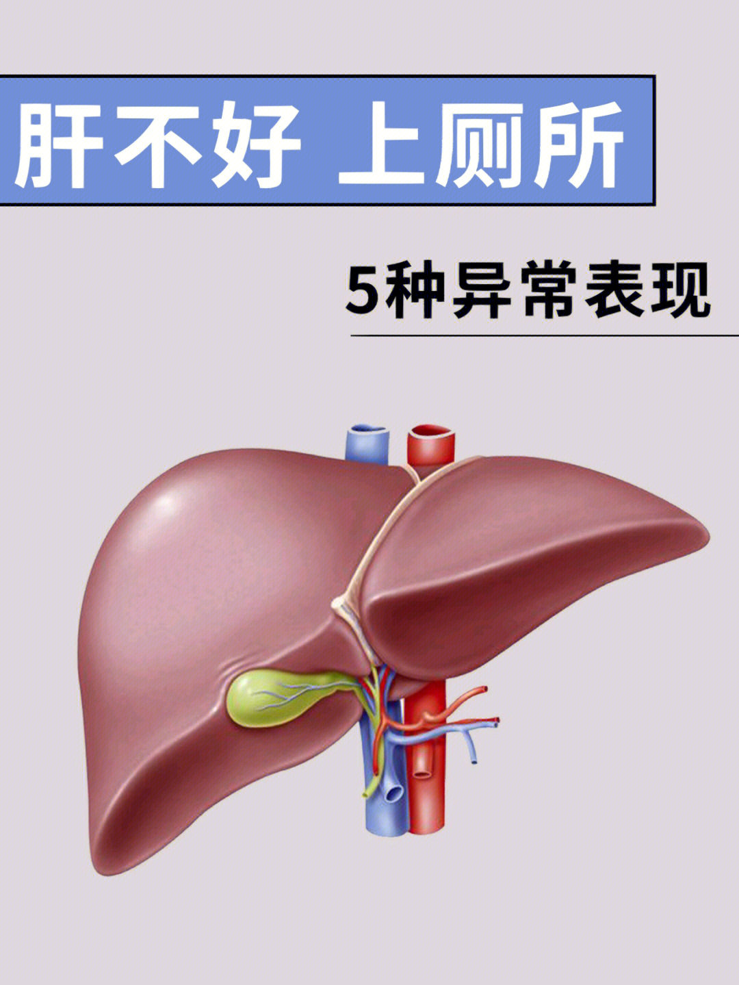 肝不好有哪些表现图片