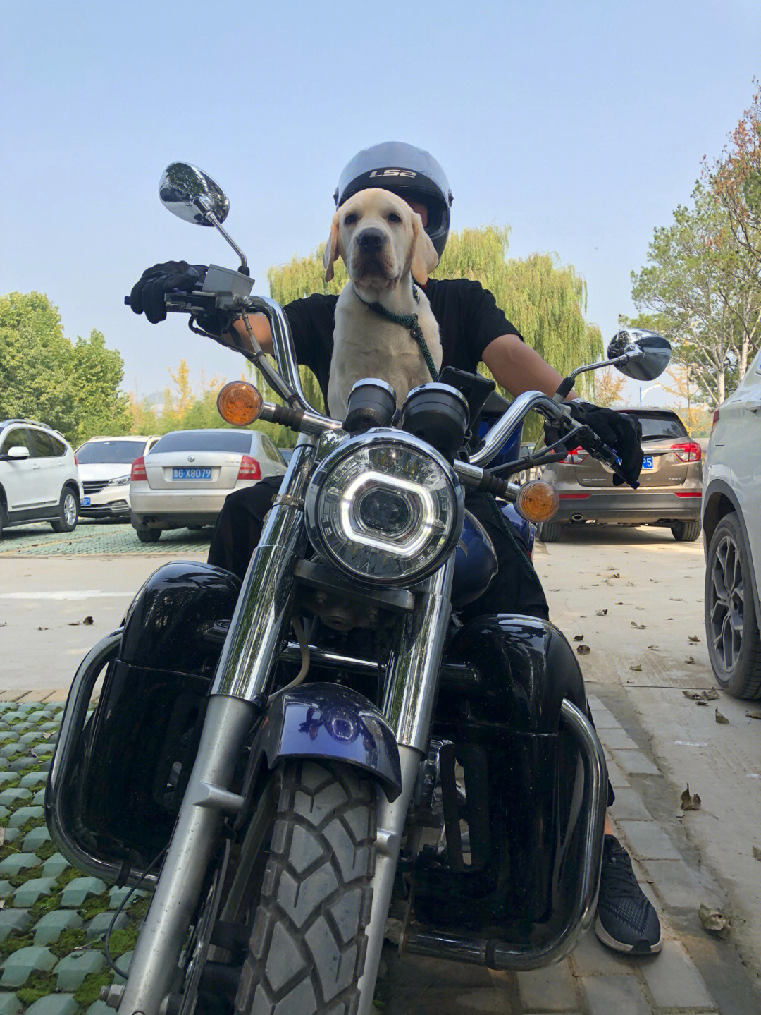 纪录狗生第一次坐摩托
