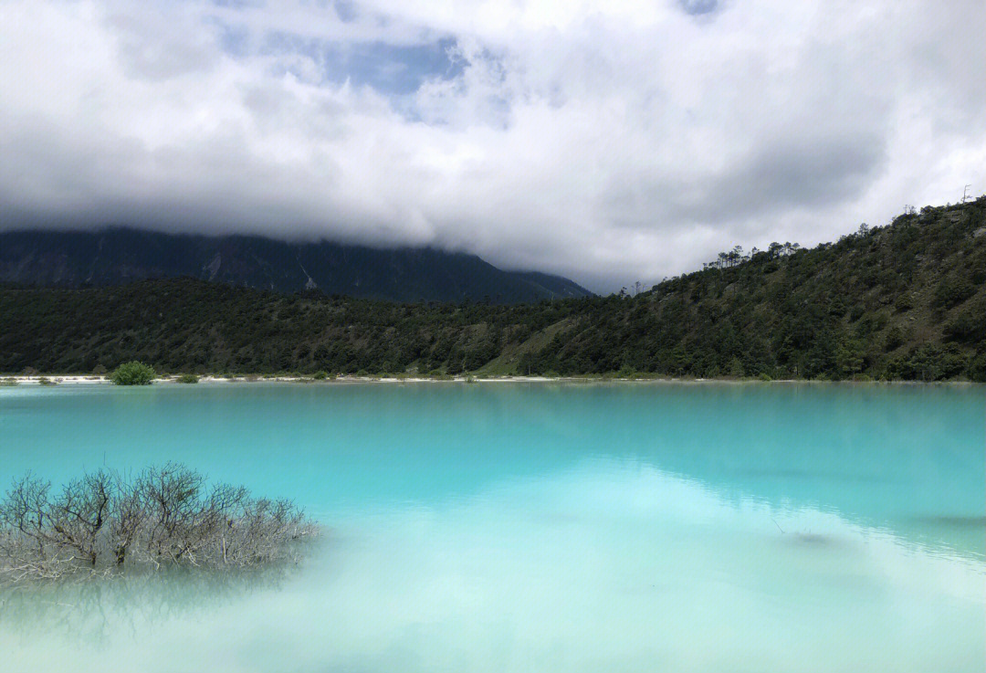 丽江牛奶湖