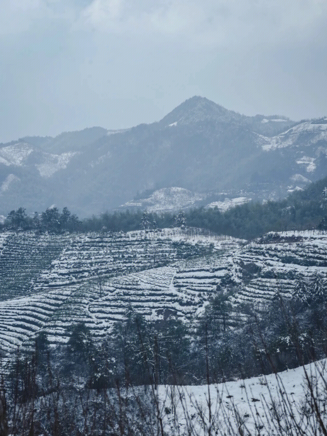 四明山看雪景的地方图片