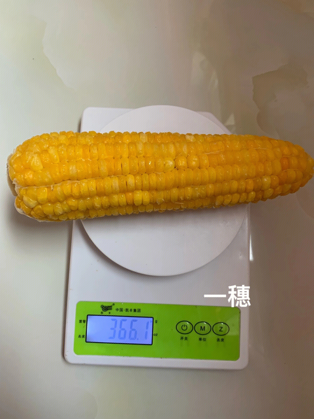 糯玉米的饱腹感太强,主食非常好早上半个77个鸡蛋刚好