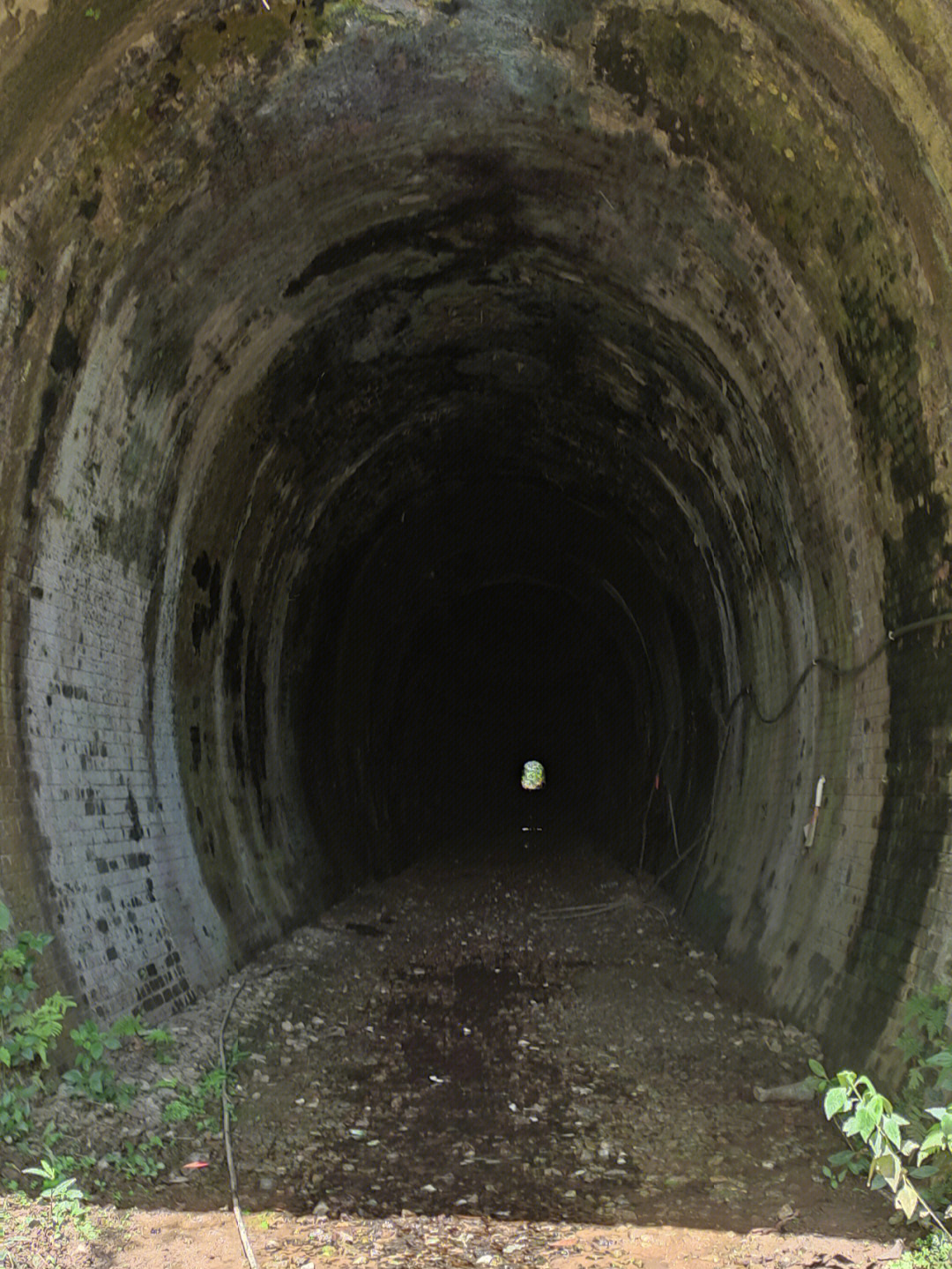 太平百年火车隧道