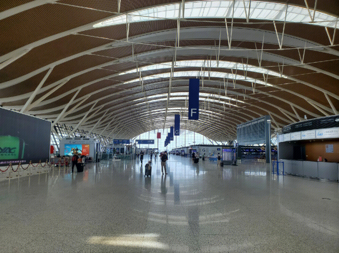 今天的上海浦东机场