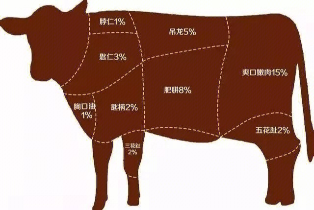牛肉分割部位图及吃法图片