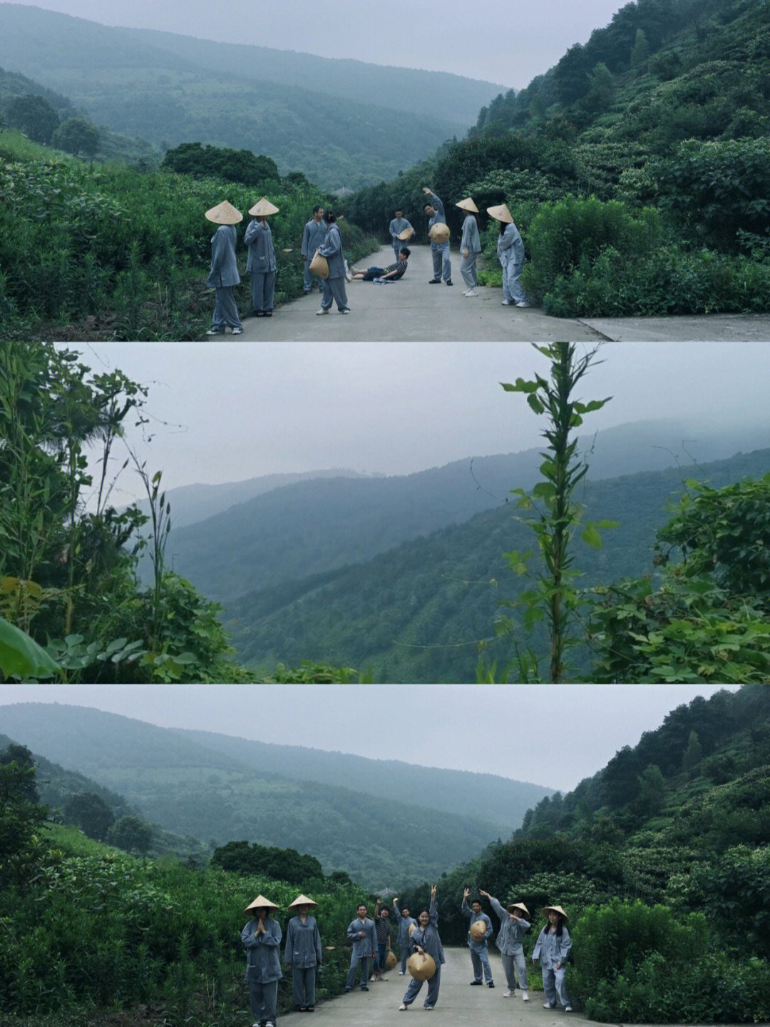 晨雾,满山果子树去年的端午,去了苏州的包山禅寺进行了三天的禅修体验