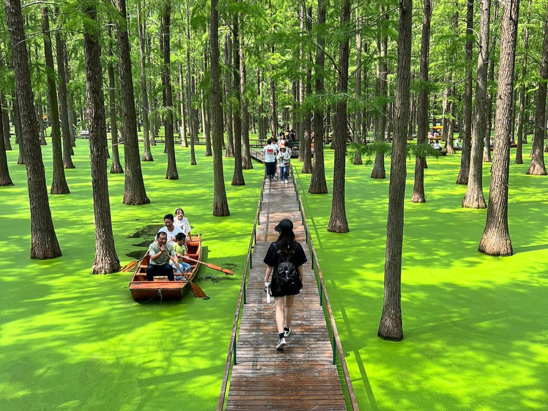 卤阳湖湿地公园图片