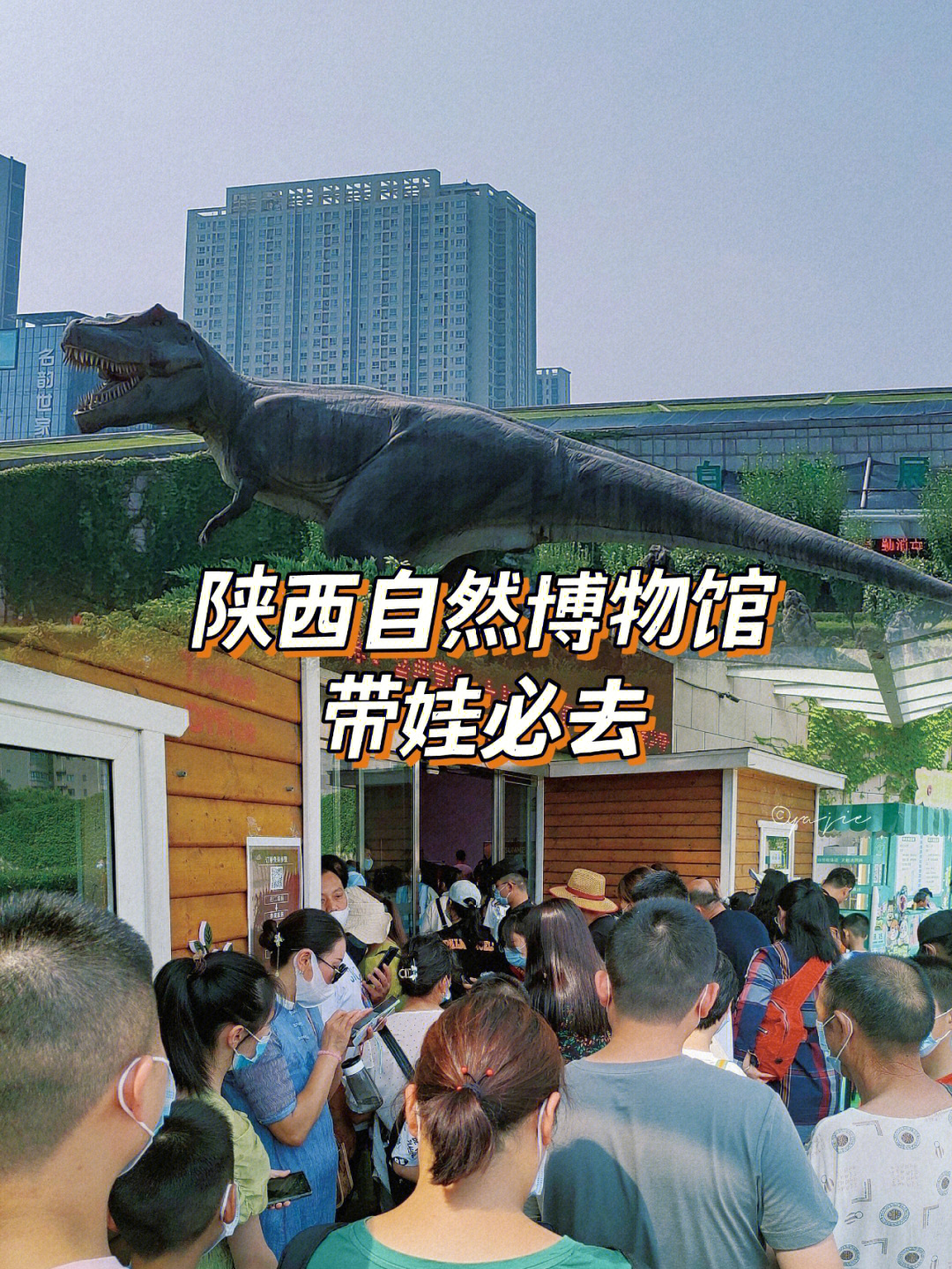 陕西自然博物馆门票图片