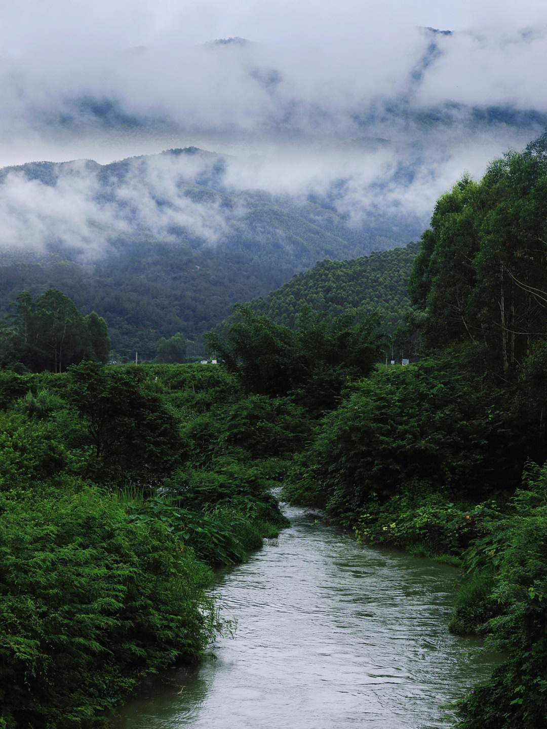 雨后山林图片