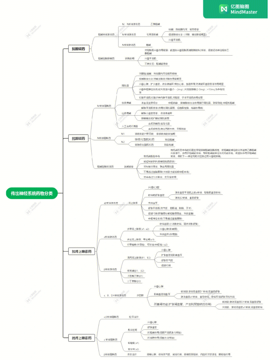 药理学思维导图手绘图片