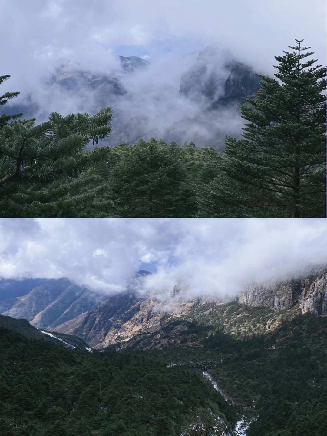 轿子雪山