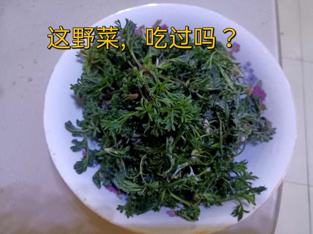 野菜布布丁图片