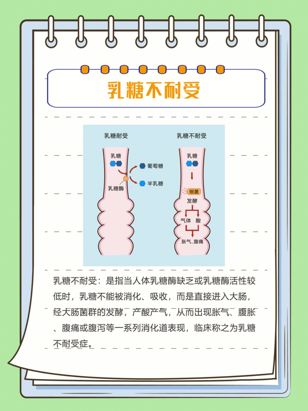 乳糖不耐受是怎么回事图片