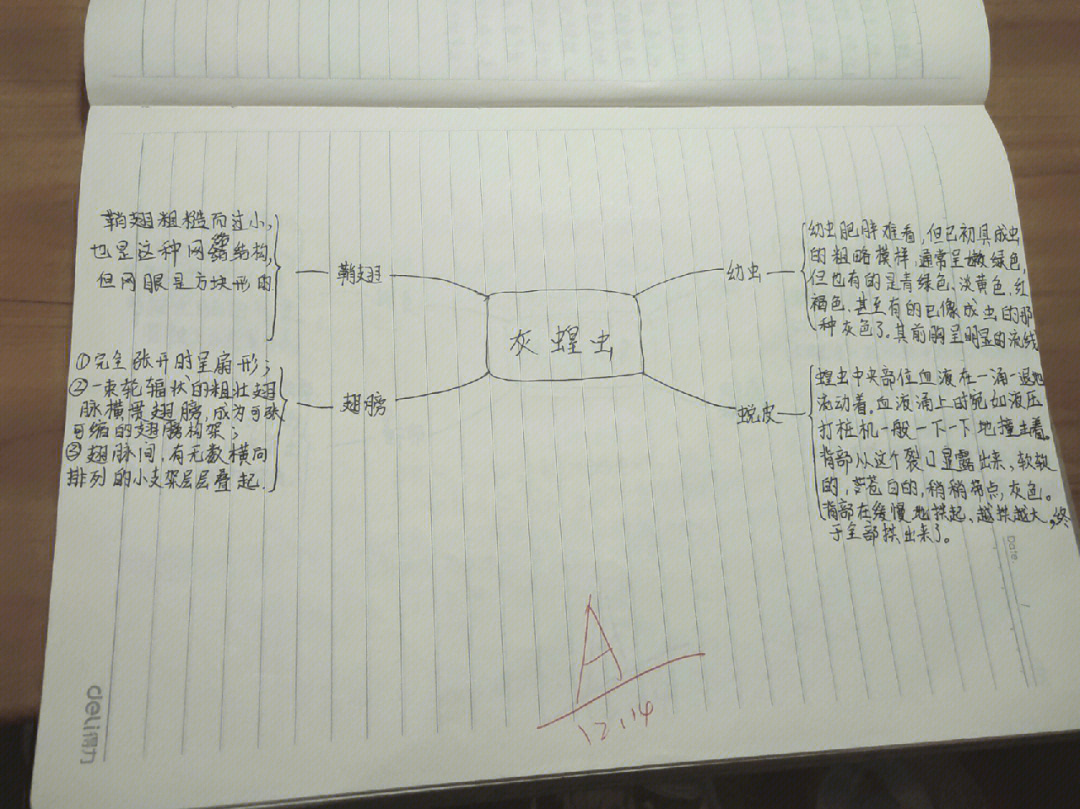 昆虫记第六章思维导图图片
